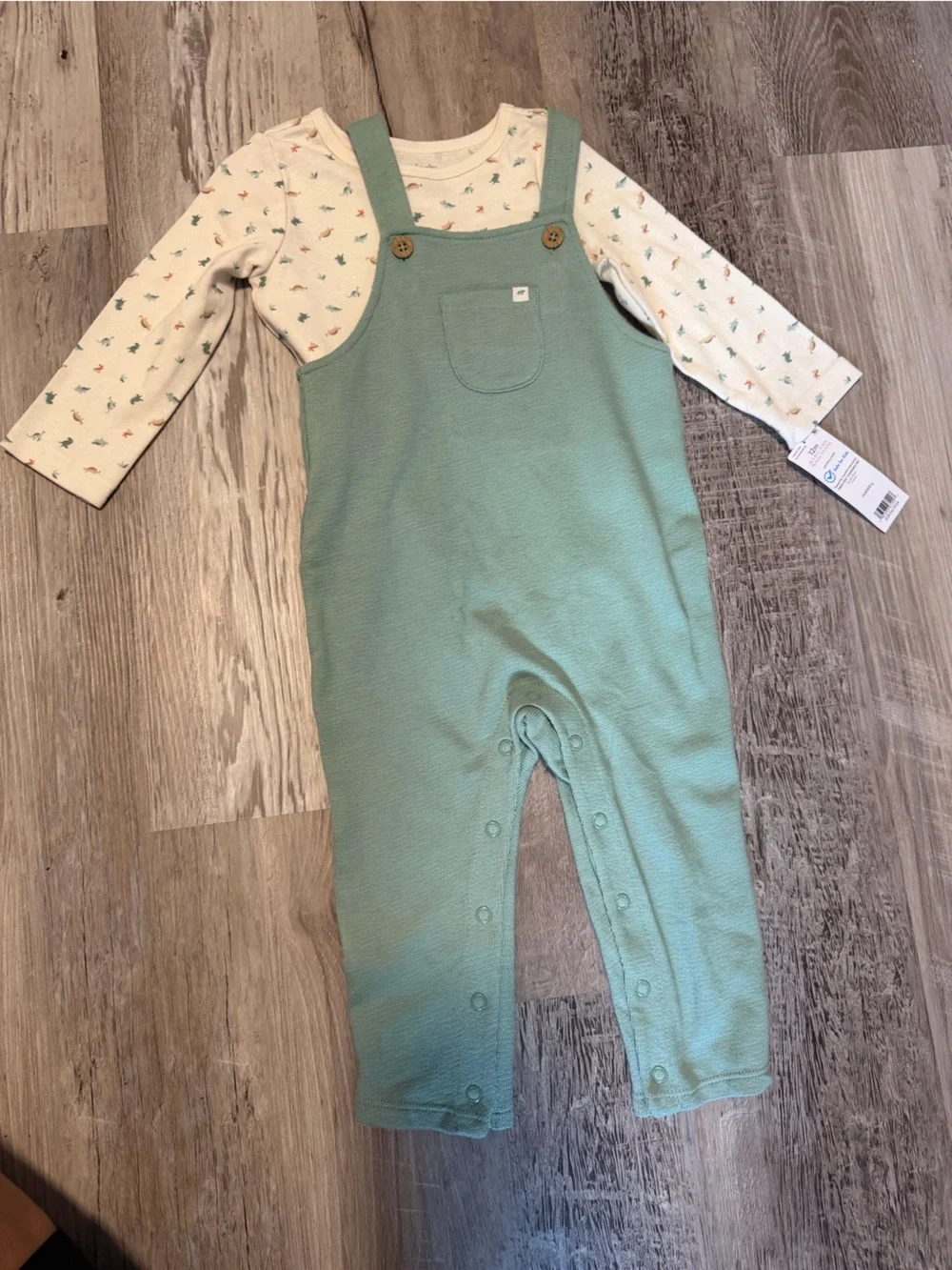 Baby Dinosaur 2 Piece Overall Set